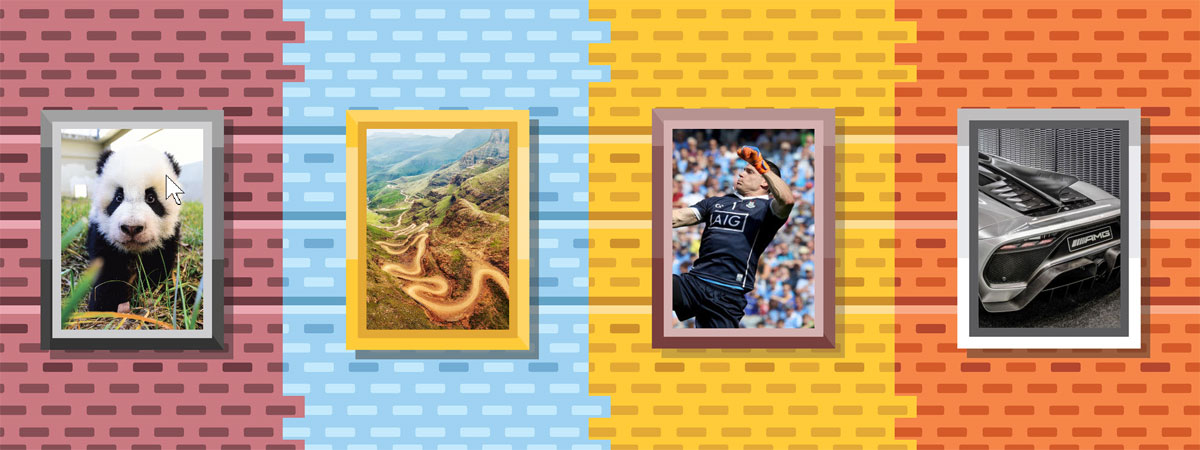 Galleries of photos for Primary School Children